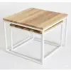 Jesion