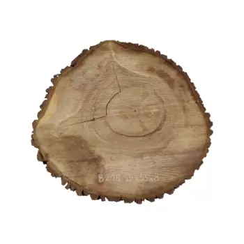 Plaster Orzecha Włoskiego po Suszarni 59x55x8cm