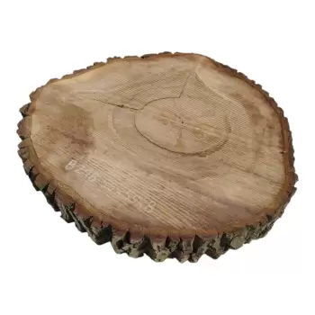 Plaster Orzecha Włoskiego po Suszarni 59x55x8cm