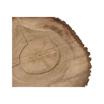 Plaster Orzecha Włoskiego po Suszarni 59x55x8cm