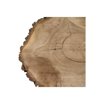 Plaster Orzecha Włoskiego po Suszarni 59x55x8cm