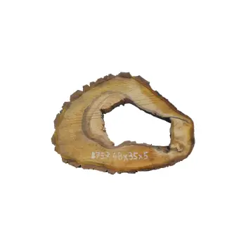 Plaster Orzecha Włoskiego 48x35x5cm