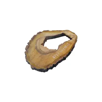 Plaster Orzecha Włoskiego 48x35x5cm