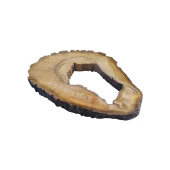 Plaster Orzecha Włoskiego 48x35x5cm