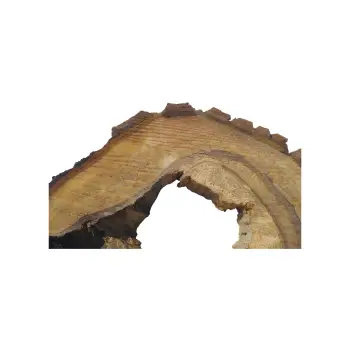 Plaster Orzecha Włoskiego 48x35x5cm