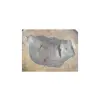 Plaster Orzecha Włoskiego 38x37x5cm