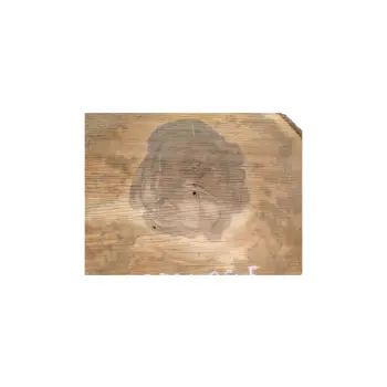 Plaster Orzecha Włoskiego 36x36x5cm
