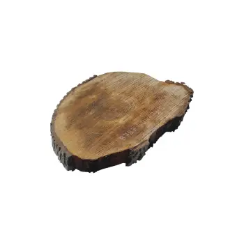 Plaster Orzecha Włoskiego 40x37x5cm