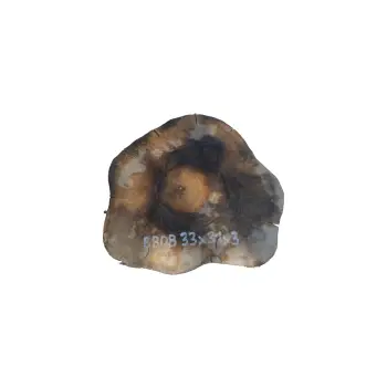 Plaster Orzecha Włoskiego 33x31x3cm