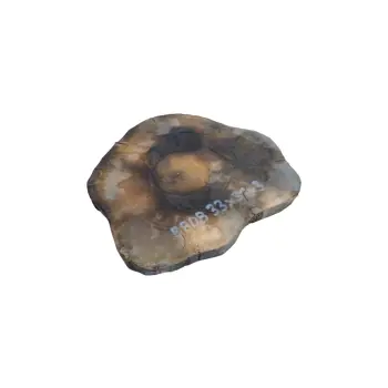 Plaster Orzecha Włoskiego 33x31x3cm