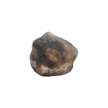 Plaster Orzecha Włoskiego 34x33x3cm