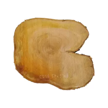 Plaster Czereśni po Suszarni 57x51x9cm