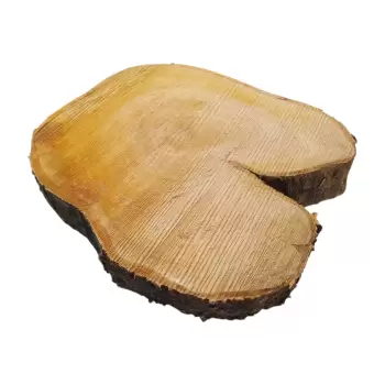 Plaster Czereśni po Suszarni 57x51x9cm