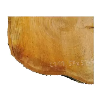 Plaster Czereśni po Suszarni 57x51x9cm