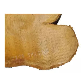 Plaster Czereśni po Suszarni 57x51x9cm