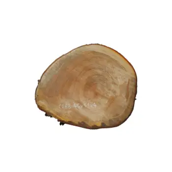 Plaster Czereśni 45x41x4cm