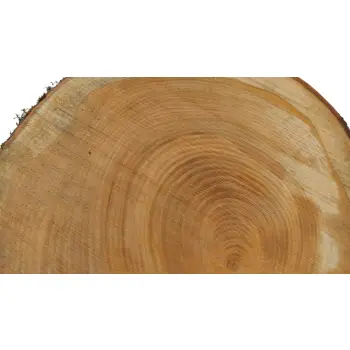 Plaster Czereśni 46x41x4cm