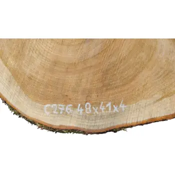 Plaster Czereśni 48x41x4cm