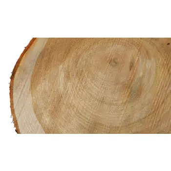 Plaster Czereśni 48x41x4cm