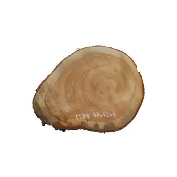 Plaster Czereśni 47x42x4cm