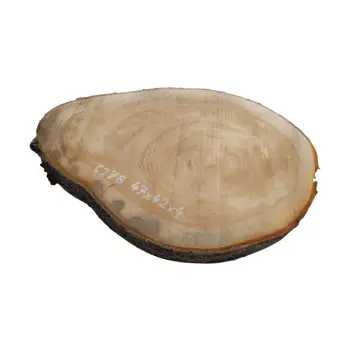 Plaster Czereśni 47x42x4cm