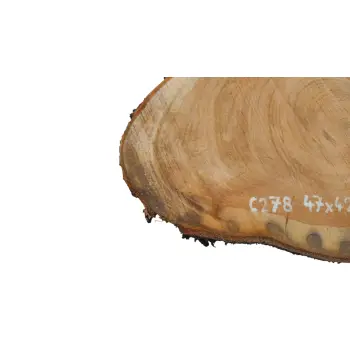 Plaster Czereśni 47x42x4cm