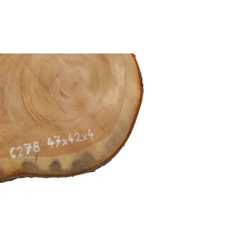 Plaster Czereśni 47x42x4cm