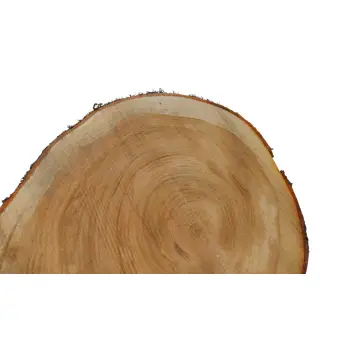 Plaster Czereśni 47x42x4cm