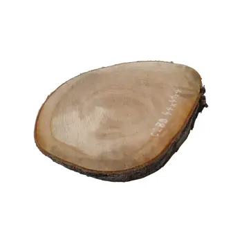 Plaster Czereśni 44x41x4cm