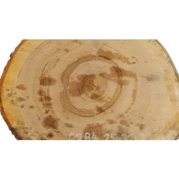 Plaster Czereśni 35x31x3cm