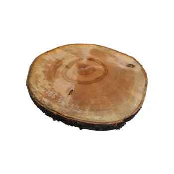 Plaster Czereśni 36x32x3cm