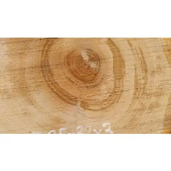 Plaster Czereśni 35x32x3cm