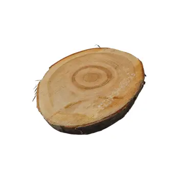 Plaster Czereśni 34x30x3cm