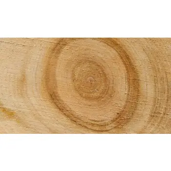 Plaster Czereśni 34x30x3cm