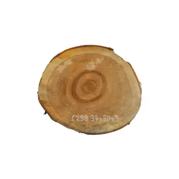 Plaster Czereśni 34x30x3cm