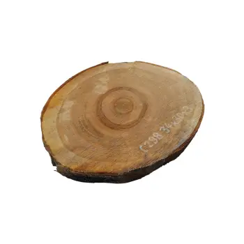 Plaster Czereśni 34x30x3cm