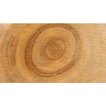 Plaster Czereśni 34x30x3cm