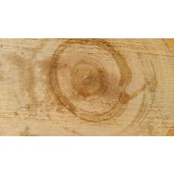 Plaster Czereśni 36x32x3cm