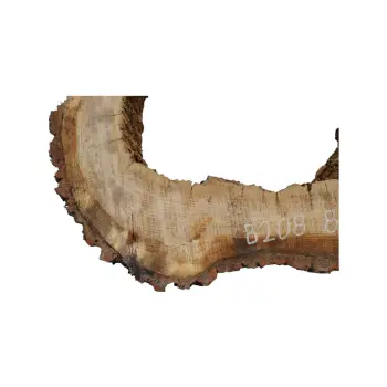 Plaster Dębowy 82x56x10cm Dąb