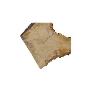 Plaster Dębowy 72x58x8cm Dąb