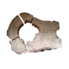 Plaster Dębowy po Suszarni 73x54x8cm w Kawałkach