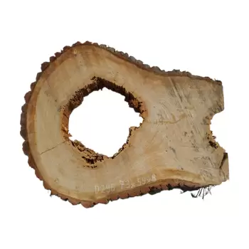 Plaster Dębowy po Suszarni 73x54x8cm w Kawałkach