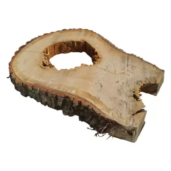 Plaster Dębowy po Suszarni 73x54x8cm w Kawałkach