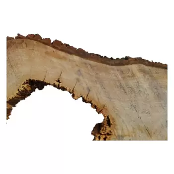 Plaster Dębowy po Suszarni 75x58x8cm