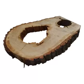 Plaster Dębowy po Suszarni 77x57x8cm