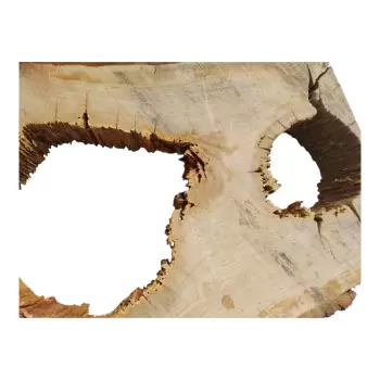 Plaster Dębowy po Suszarni 77x57x8cm