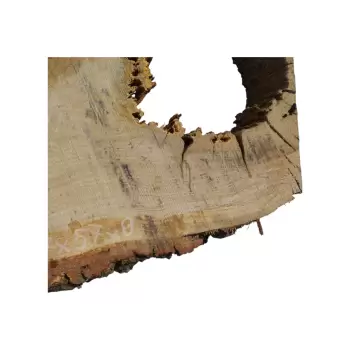 Plaster Dębowy po Suszarni 77x57x8cm