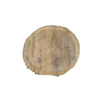 Plaster Dębowy 45x41x6cm Dąb