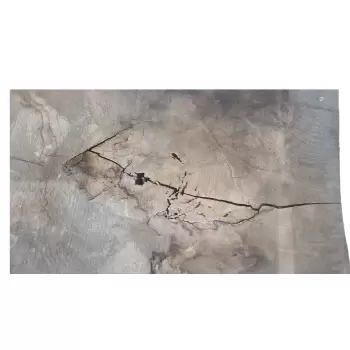 Deska Dębowa 103x83x5,5cm Dąb