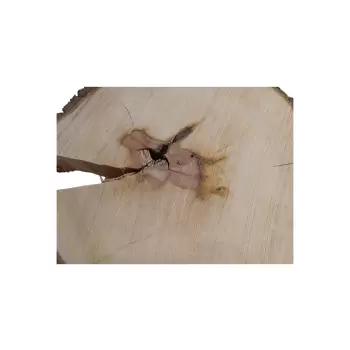 Plaster Gruszy 35x33x4,5cm